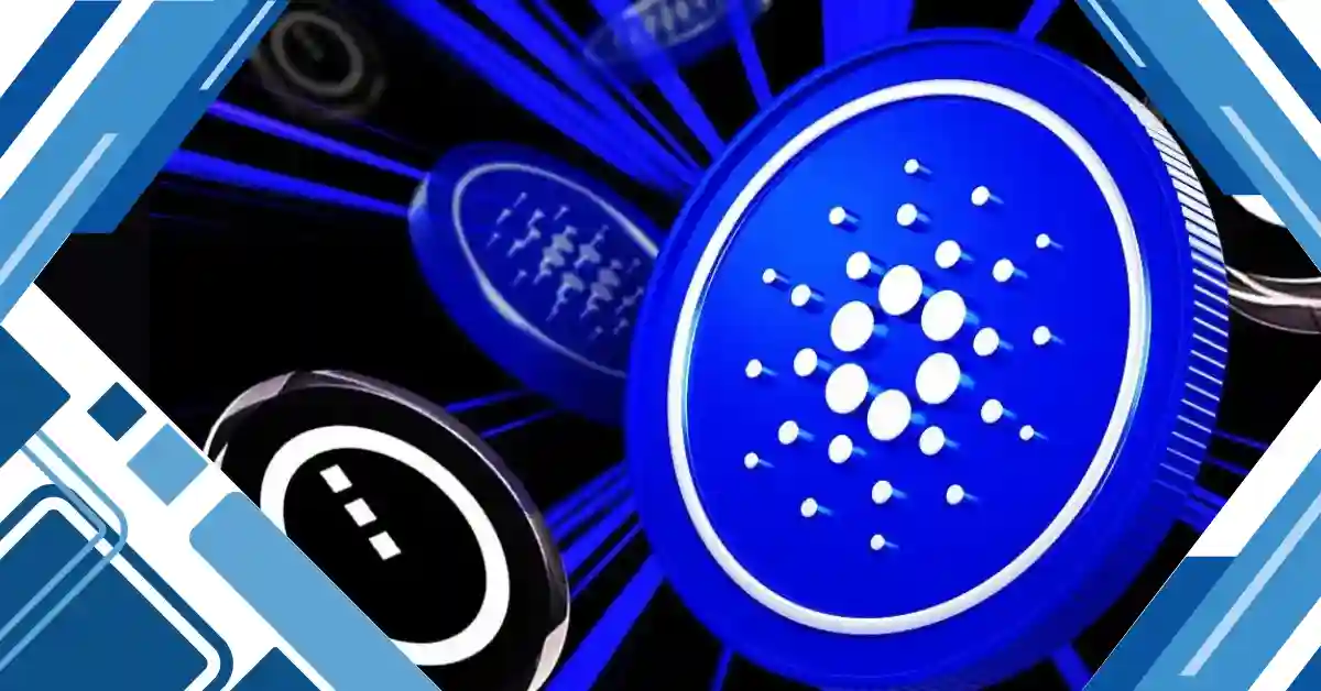 Cardano